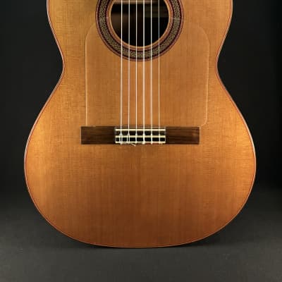 Marshall Brune Hybrid 14-Fret Cutaway Classical Guitar image 1