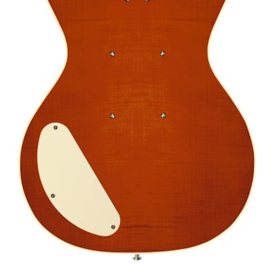 Danelectro D59DIVINE-MAPLE Double Cutaway Shorthorn Shape C Shape Neck 6-Electric Guitar image 2