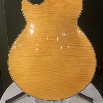 D'Angelico Excel EX-SS Semi-Hollow with Stairstep Tailpiece, Pau Ferro Fretboard 2019 - 2020 - Natural image 9
