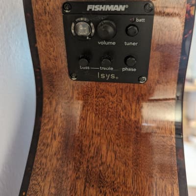Breedlove Pursuit Concert Cutaway Acoustic/Electric Guitar Gloss Natural image 17