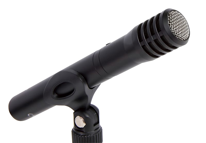 TASCAM TM60 BatteryPowered Condenser Microphone Reverb