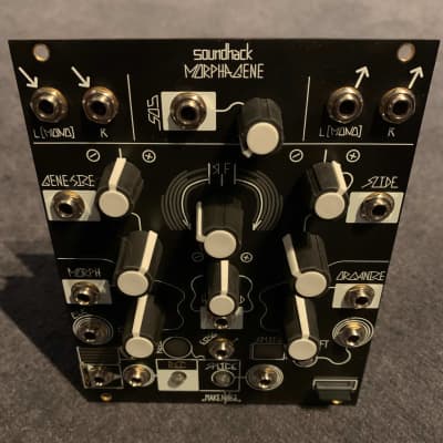 Make Noise Morphagene Module | Reverb