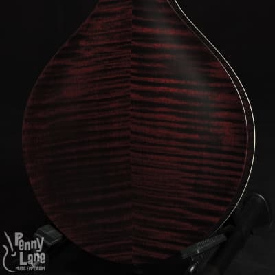 Collings MT Satin Merlot A-Style Mandolin with Case image 4
