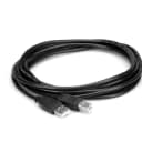 Hosa USB-210AB High Speed USB Cable Type A to Type B, 10-Feet