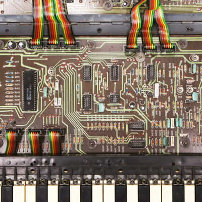 1983 Siel Cruise Vintage Analog Synthesizer Keyboard Rare Mono Synth Poly Hybrid Made in Italy image 23