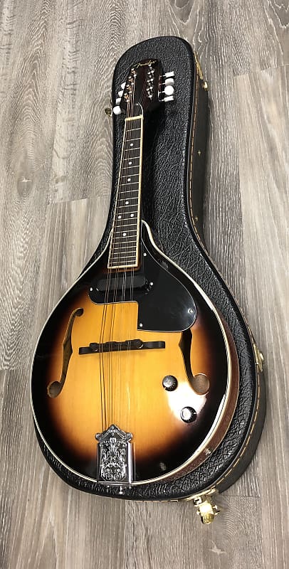 Fender FM52E Acoustic-Electric Mandolin | Reverb Canada