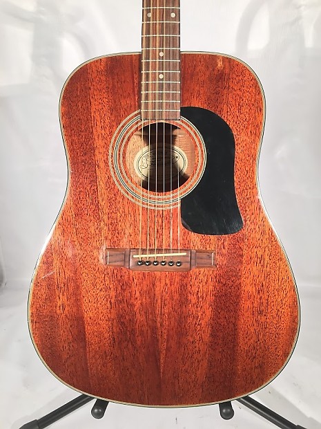 Washburn d10m top