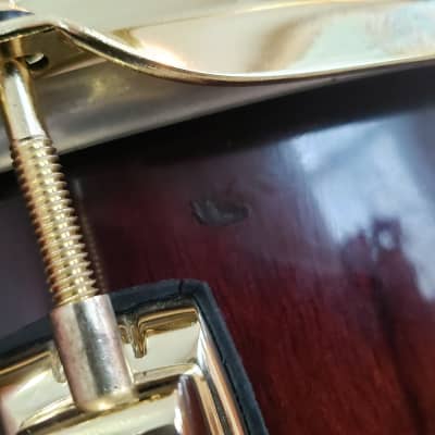 Ludwig Legacy Maple Exotic 5-Piece with Brass Hardware - 12/13/16/18/22 image 7