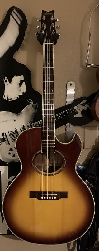 Washburn ea20s store