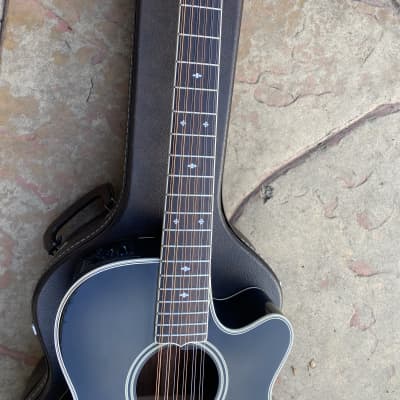 Takamine NPT-110-12 | Reverb