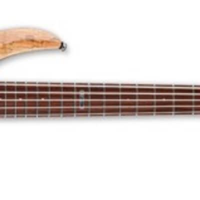 ESP LTD B-205SM 5-String Bass(New) image 1