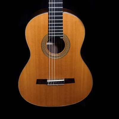 Luthier Built Concert Classical Guitar - Cedar & Indian Rosewood image 2