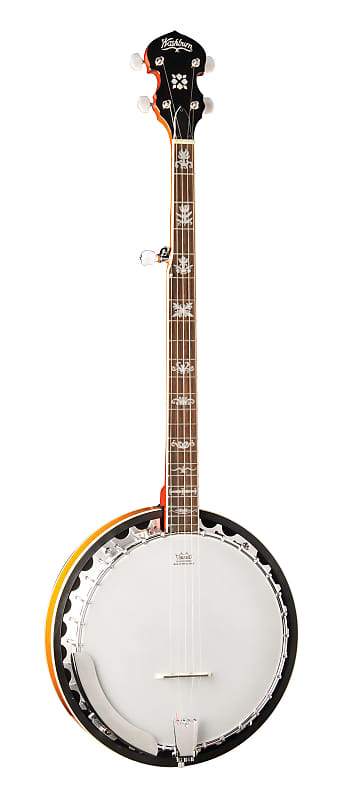 Washburn - Americana Series 5 String Banjo! B10 image 1