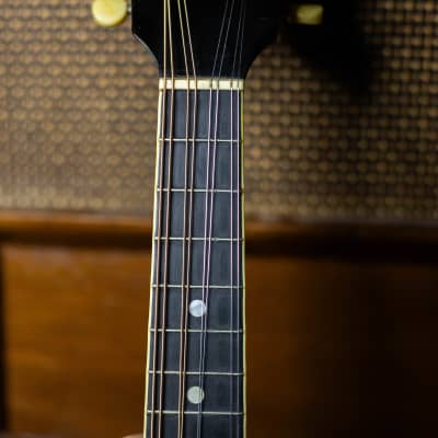 Gibson A4 1921 - Sunburst - VIDEO image 6