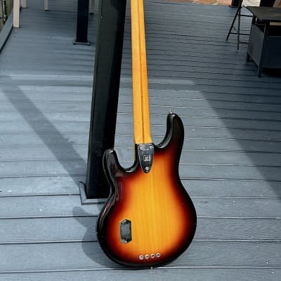 Music Man Stingray Bass 1978 - a superb Sunburst maple neck example as clean as they come & all original ! image 3