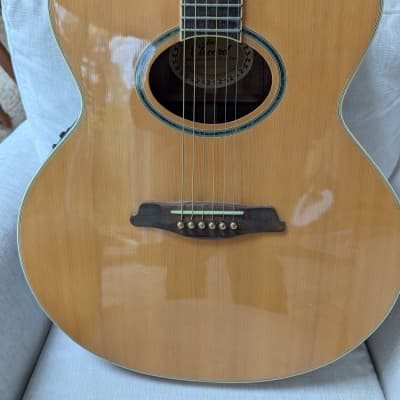 Aria Elecord FET DLX | Reverb