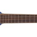 Washburn  ROVER 10STBLK  6-String Guitar