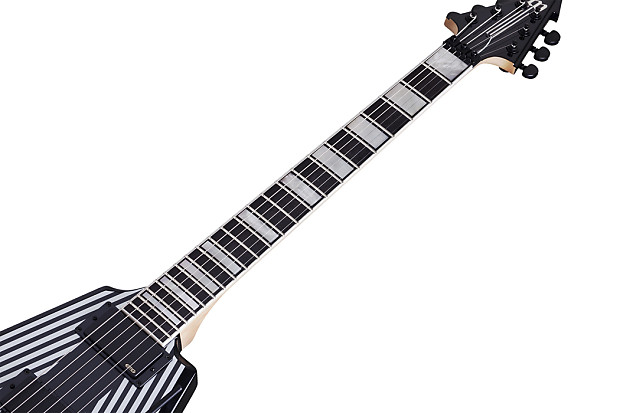 Wylde audio viking with floyd rose electric guitar black pinstripes top