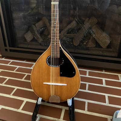 Kent Acoustic mandolin image 1