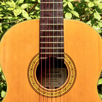 Takamine No 30 Handcrafted Concert Classical Guitar Japan 1988 (Near Mint)  | Reverb