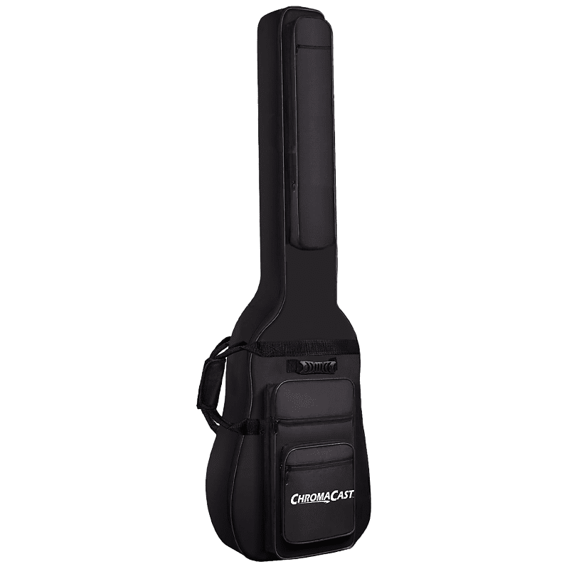 Bass guitar deals padded gig bag