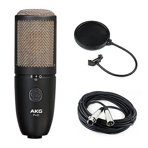 AKG Project Studio P420 Multi-Pattern Large Diaphragm Condenser Microphone with Pop Filter & 20' XLR Cable image 1