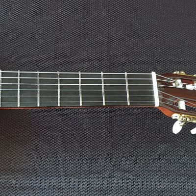 1989 Sobrino de Santos Hernandez Brazilian Rosewood Classical Guitar image 14