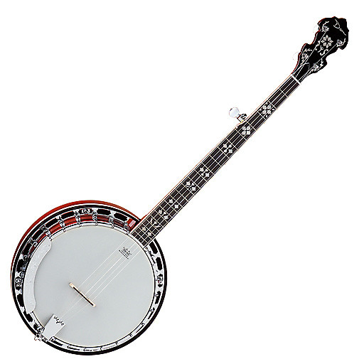 Dean BW5 Backwoods 5 String Banjo Reverb