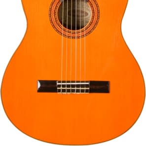 Washburn Classical C5 Nylon String Acoustic Guitar - Natural image 4