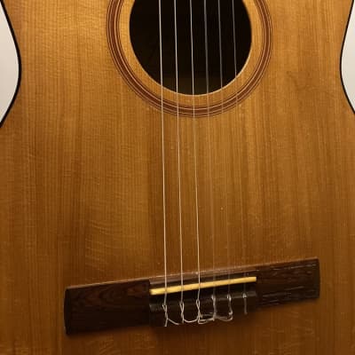 Goya G-10 Concert Size Classical Guitar with Case - 1968 image 4