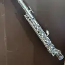 Stagg Ws-pf211s New Floor Model 2023 Silver