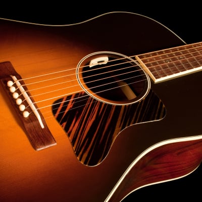 LR Baggs Anthem SL Tru-Mic Acoustic Guitar Pickup / Microphone System w/ Endpin image 3