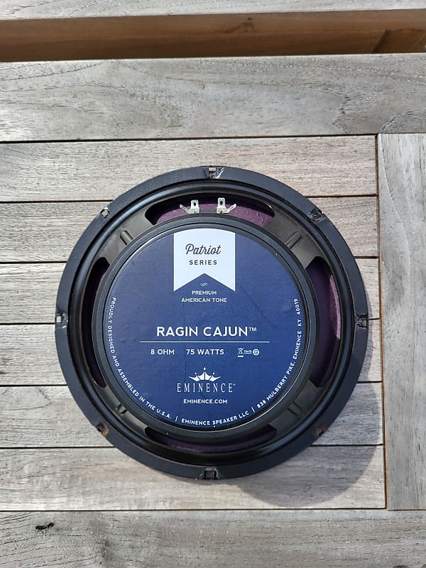 Eminence ragin best sale cajun speaker