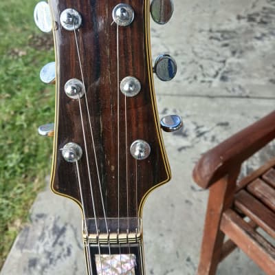 Teisco DG-67 1967 - Buttercream image 21