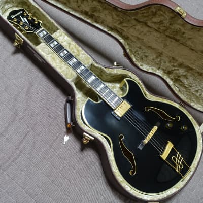 G*g様 Ibanez Pat Metheny PM-100 初期 ハードケース G*g様 Ibanez Pat