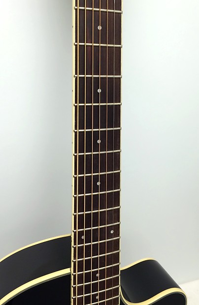 Washburn wcg187ce top