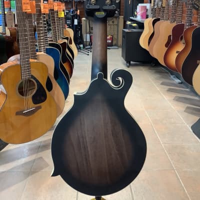 Gold Tone F6 Manditar - Tobacco Sunburst image 4
