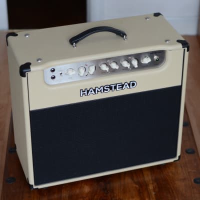 Hamstead Artist 20RT with Flightcase and Soft case image 2