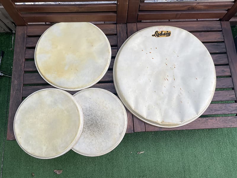 1960 Ludwig Calf skin drum heads 22/16/13 Reverb