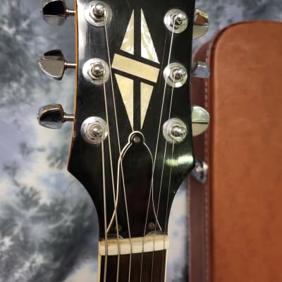 Video Demo Vintage 1973 Electra Model 2245 Super Rock Japan Les Paul Style Pro Setup New Strings New Hard Shell Case image 11