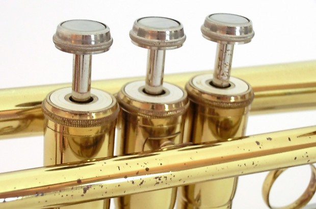 Swallow 50LN | Reverb