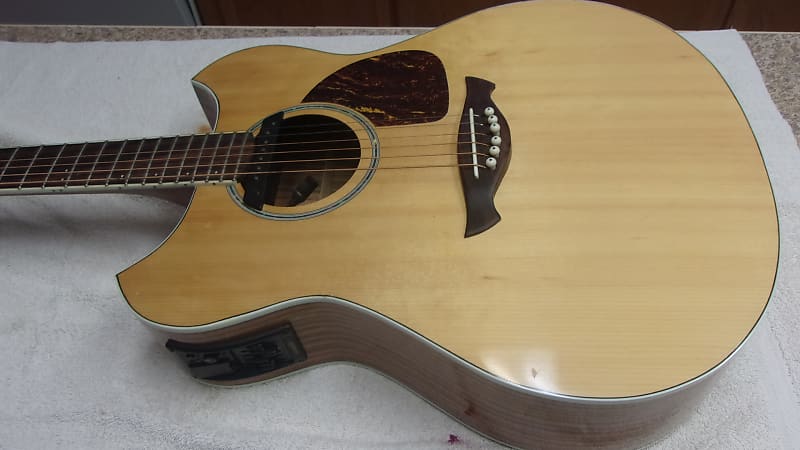 Excellent Wechter 3120 Pathfinder Acoustic Electric Guitar w/ Case