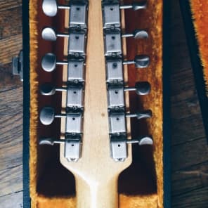 Fender Shenandoah XII 1965. 12 String Acoustic Guitar with Orig Case image 6