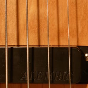 Alembic Electric 6 string bass maple top image 6