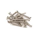 PURE VINTAGE SLOTTED TELECASTER/ NECK MOUNTING SCREWS