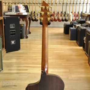 Breedlove AC250/CR Syn  Natural image 7