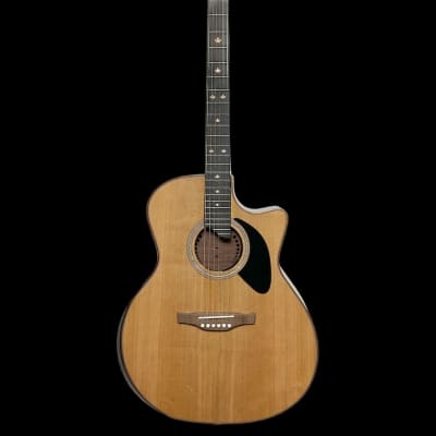 Riversong Dragon Slayer (P555CEA) Acoustic Guitar for sale