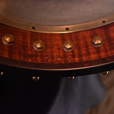 Ome Otis Taylor Open back 5 String banjo image 15