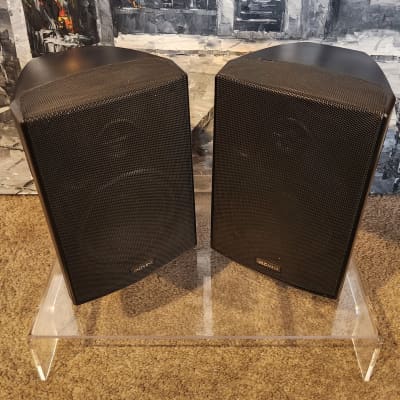 Advent Advent Calypso indoor/outdoor speaker 90s - Black plastic image 2