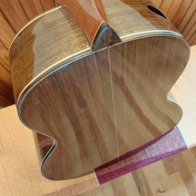 Jefferson Barros 7-String Guitar, (steel & nylon strings) 2023 image 8